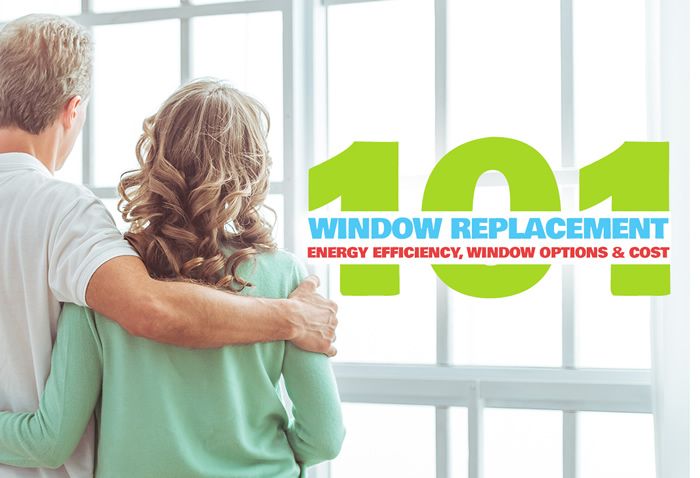 windows replacement guide